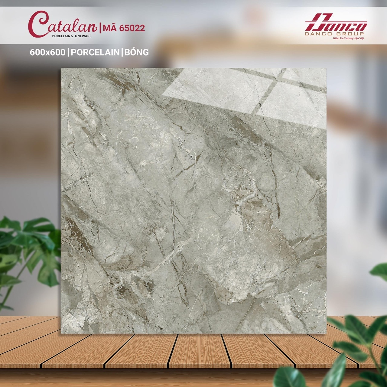 Gạch lát nền 60x60 CTL-DBK65022