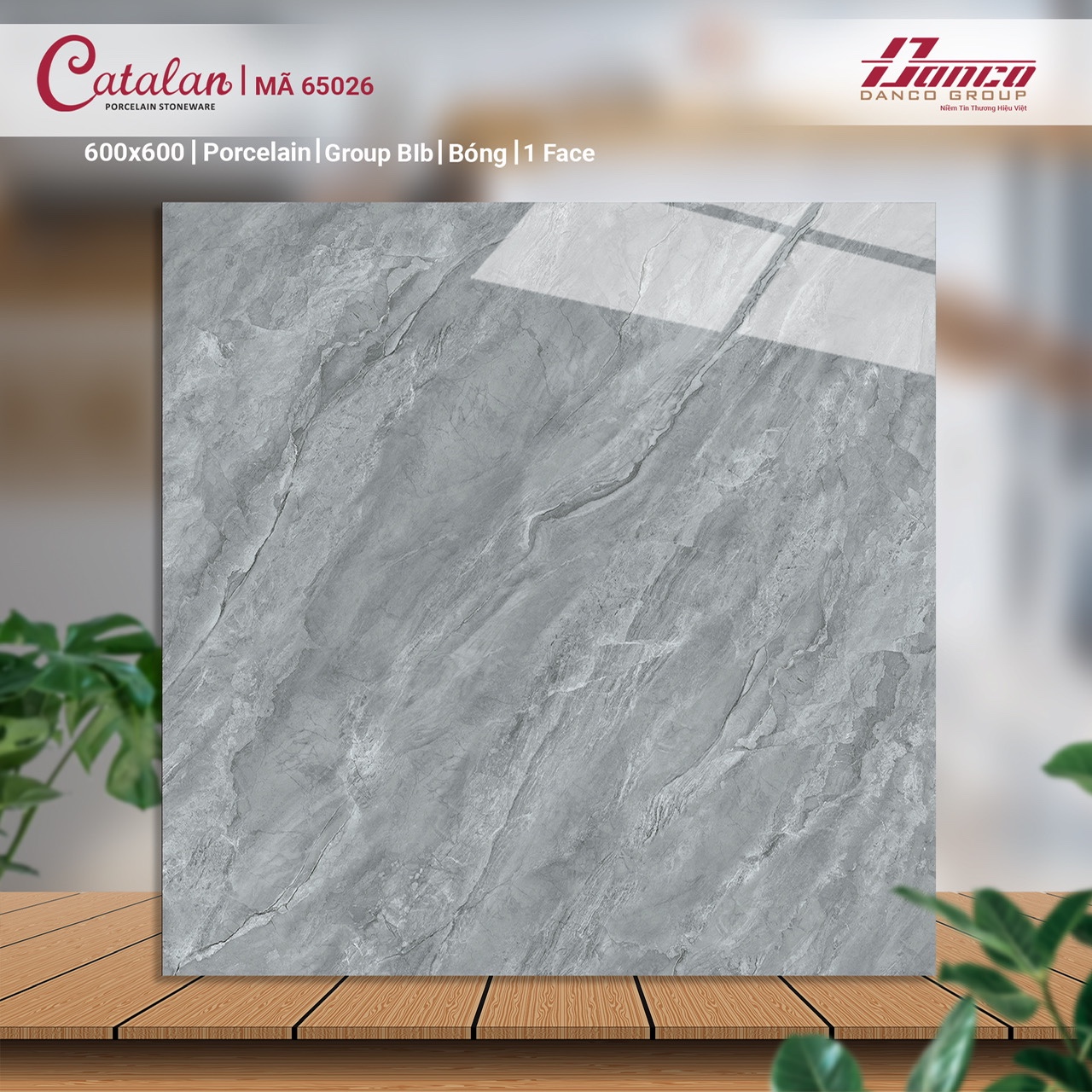 Gạch lát nền 60x60 CTL-DBK65026