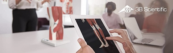 MÔ HÌNH Y KHOA 3B SCIENTIFIC