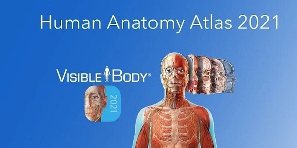 Anatomy Atlas 2021