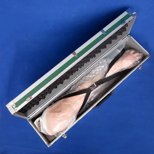 mô hình thực hành tiêm và truyền tĩnh mạch cánh tay đa chức năng