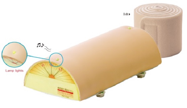 MÔ HÌNH CHÂM CỨU AM2, SAKAMOTO