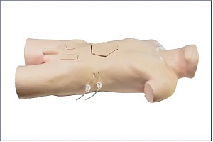 Mô hình đào tạo phẫu thuật nâng cao