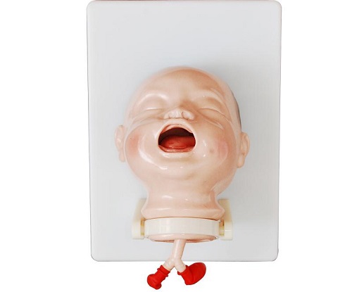 Mô hình huấn luyện đặt nội khí quản cho trẻ sơ sinh