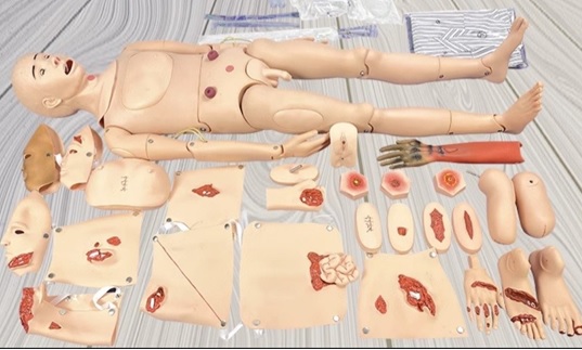 MÔ HÌNH ĐIỀU DƯỠNG CHĂM SÓC VẾT THƯƠNG ĐA NĂNG