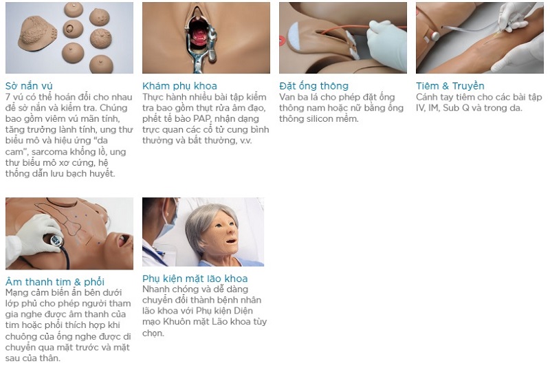 MÔ HÌNH ĐIỀU DƯỠNG ĐA NĂNG S222.100 GAUMARD (CÓ ĐO HUYẾT ÁP, NGHE TIM PHỔI)