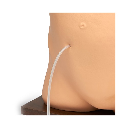 Mô hình lọc màng bụng ( thẩm phân phúc mạc ) LF01027 Nasco Healthcare