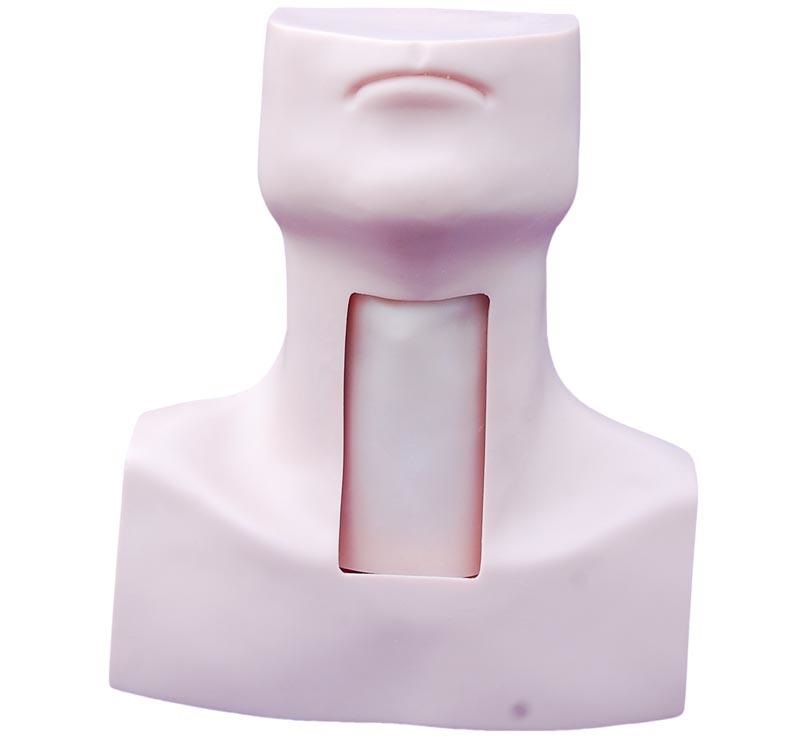 MÔ HÌNH MỞ KHÍ QUẢN XC-454 TRUNG QUỐC