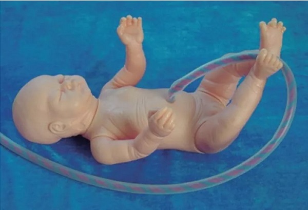 Mô hình thực hành cắt dây rốn