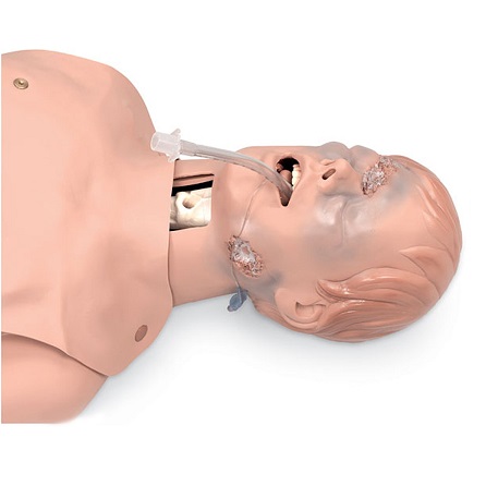 MÔ HÌNH THỰC HÀNH ĐẶT NỘI KHÍ QUẢN NASCO 101-060U