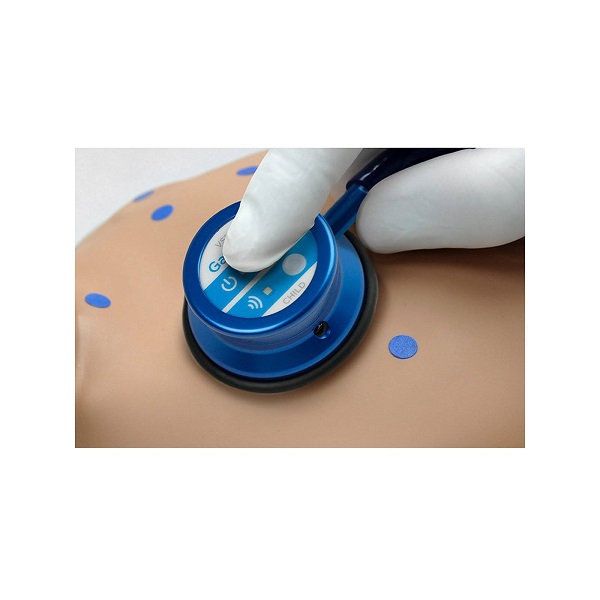 MÔ HÌNH THỰC HÀNH NGHE TIM PHỔI TRẺ EM 5 TUỔI CƠ BẢN – 1020853 – 3B SCIENTIFIC