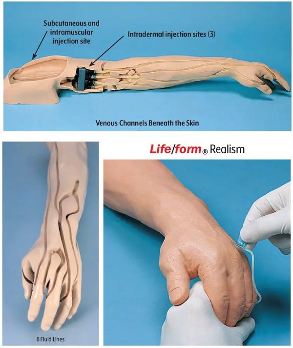 Mô hình tiêm bắp, tĩnh mạch cánh tay