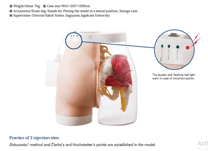 Mô hình tiêm mông SB52393 Nasco Healthcare - Mỹ