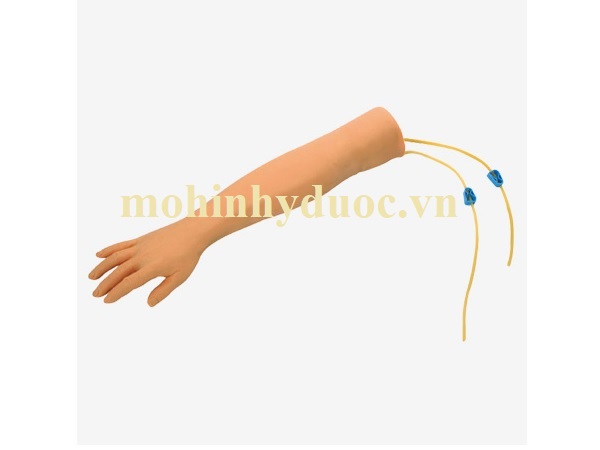 Mô hình tiêm truyền tĩnh mạch chi trên