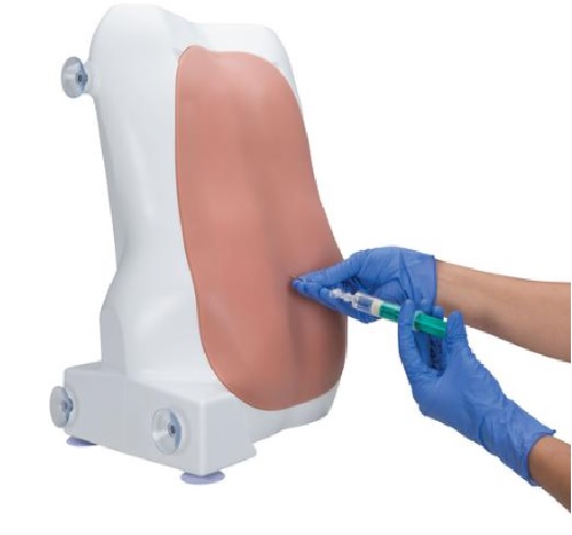 MÔ HÌNH TIÊM VÀ CHỌC DÒ TỦY SỐNG CHỌC HÚT DỊCH 3B SCIENTIFIC