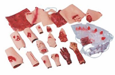 MÔ HÌNH VẾT THƯƠNG CÁC LOẠI 800-6701U / PP06701U / SB23528U NASCO