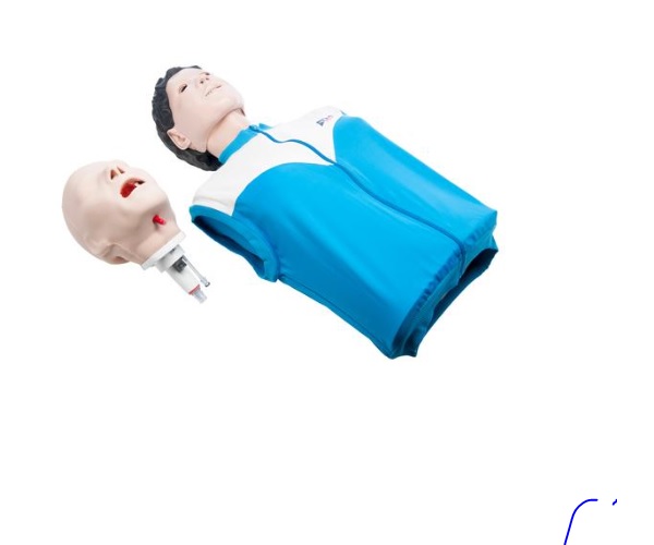 MÔ HÌNH GIẢNG DẠY Y KHOA 3B SCIENTIFIC