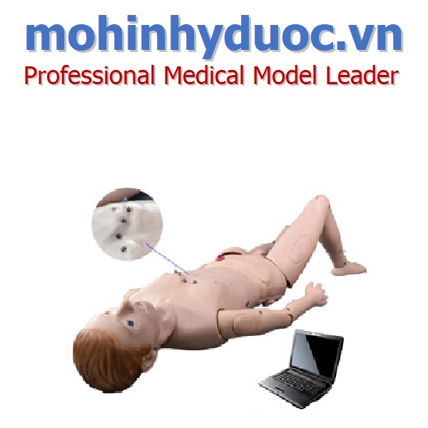 Hệ thống giảng dạy mô phỏng Điện tâm đồ ECG