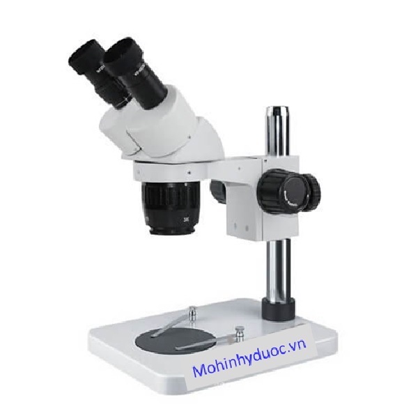 Kính hiển vi ST6013-B1