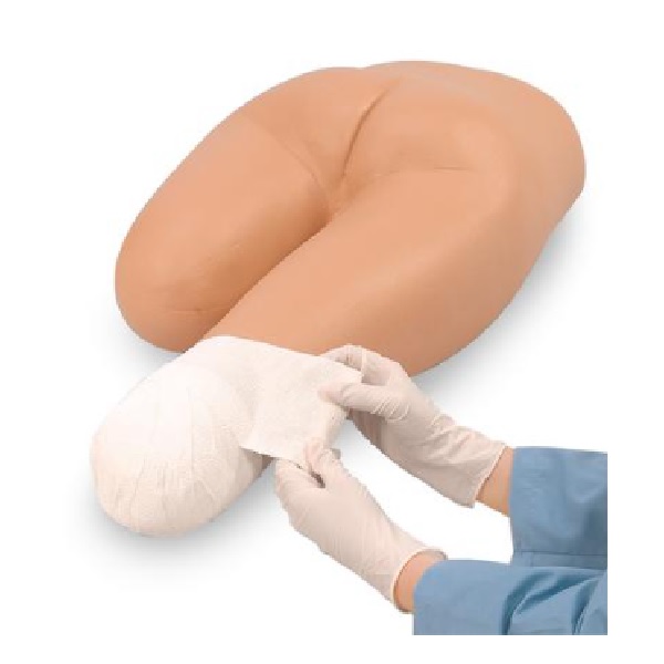 Mô Hình Băng Bó Vết Thương Cắt Cụt Chi Dưới – 1005681 – 3B Scientific