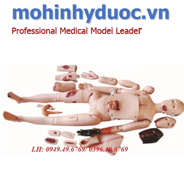 MÔ HÌNH CÁC VẾT THƯƠNG NGOẠI KHOA