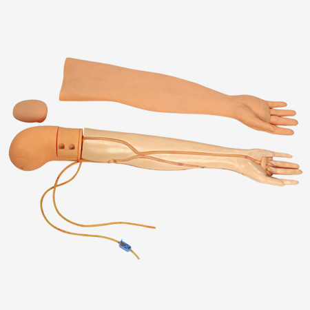 MÔ HÌNH CÁNH TAY ĐẦY ĐỦ CHỨC NĂNG GD/HS3