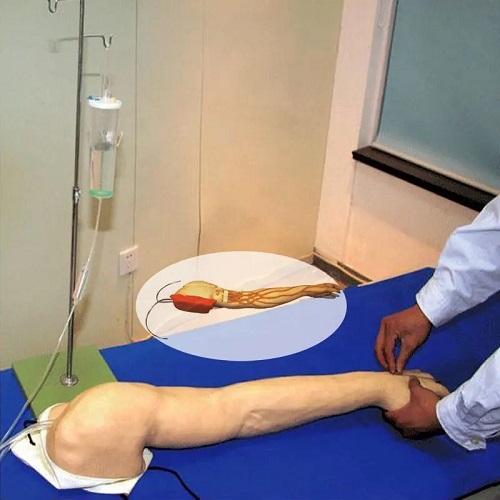 mô hình thực hành tiêm và truyền tĩnh mạch cánh tay đa chức năng
