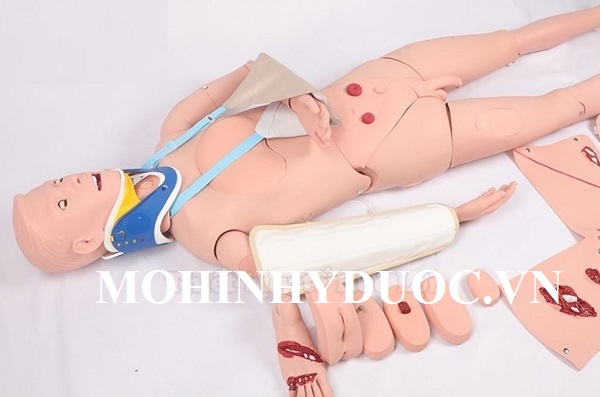 Mô hình thực hành chăm sóc vết thương cố định cột sống cổ
