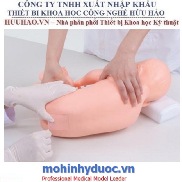 MÔ HÌNH THỰC HÀNH CHỌC DÒ THẮT LƯNG TRẺ EM M43D