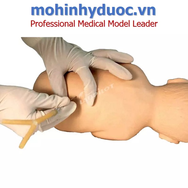 Mô hình chọc dò tủy sống trẻ em