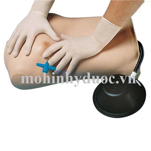 Mô Hình Chọc Khí Màng Phổi – 1005713 – 3B Scientific