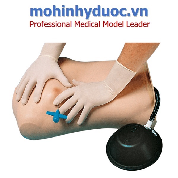 Mô Hình Chọc Khí Màng Phổi