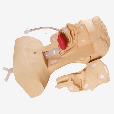 MÔ HÌNH ĐÀO TẠO HÚT ĐỜM NHỚT NÂNG CAO GD/H85