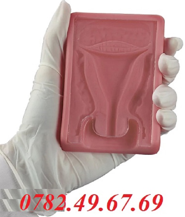 MÔ HÌNH ĐẶT DỤNG CỤ TỬ CUNG - NASCO