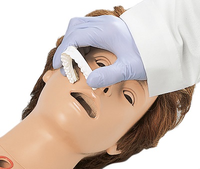 MÔ HÌNH ĐIỀU DƯỠNG CƠ BẢN, PHIÊN BẢN TIÊU CHUẨN ERLER ZIMMER