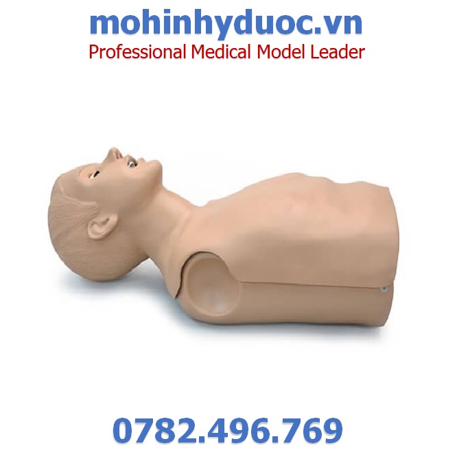 MÔ HÌNH HỒI SỨC CẤP CỨU BÁN THÂN S309