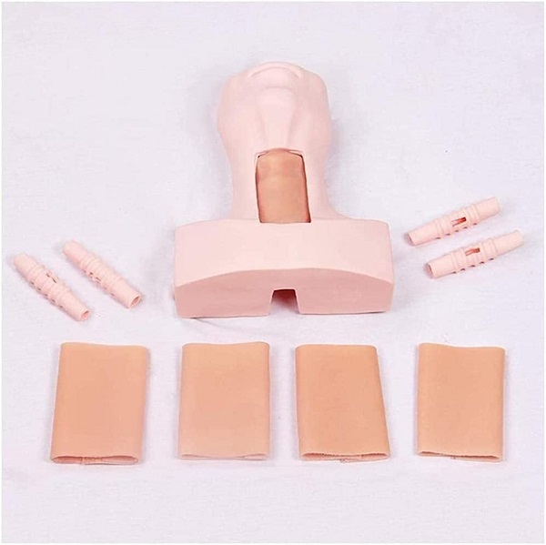 Mô hình đào tạo mở khí quản