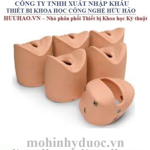MÔ HÌNH KHÁM TỬ CUNG SB29931 NASCO