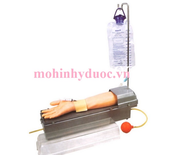 MÔ HÌNH THỰC HÀNH LẤY MẪU KHÍ TĨNH MẠCH VÀ TIÊM TRUYỀN TĨNH MẠCH