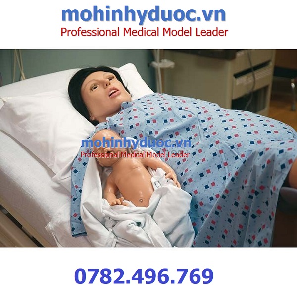 Mô Hình Mô Phỏng Sản Khoa