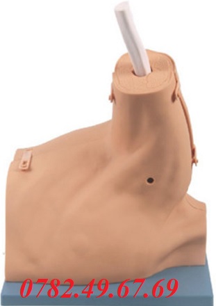 MÔ HÌNH ĐÀO TẠO PHẪU THUẬT NỘI SOI KHỚP VAI