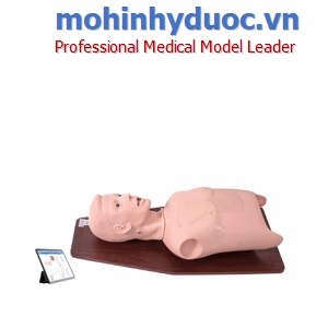 Mô hình ống nội khí quản tương tác di động