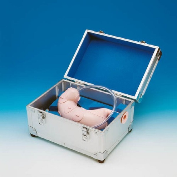 MÔ HÌNH PHẪU THUẬT NỘI SOI DƯỚI NIÊM MẠC (ESD)