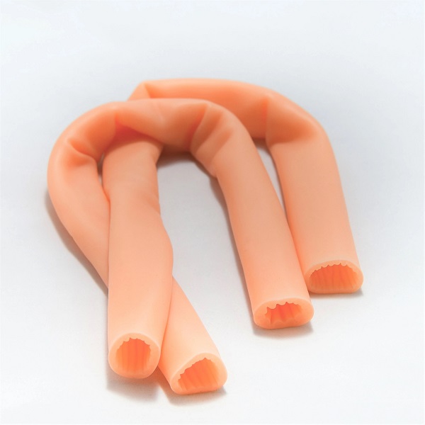 MÔ HÌNH KHÂU RUỘT NON