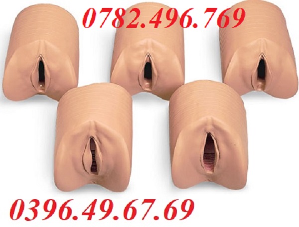 MÔ HÌNH KHÁM TỬ CUNG SB29931 NASCO