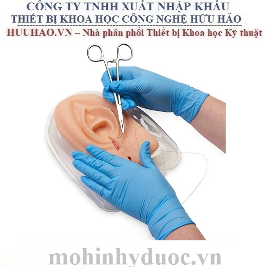 MÔ HÌNH CẮT KHÂU TẦNG SINH MÔN - NASCO