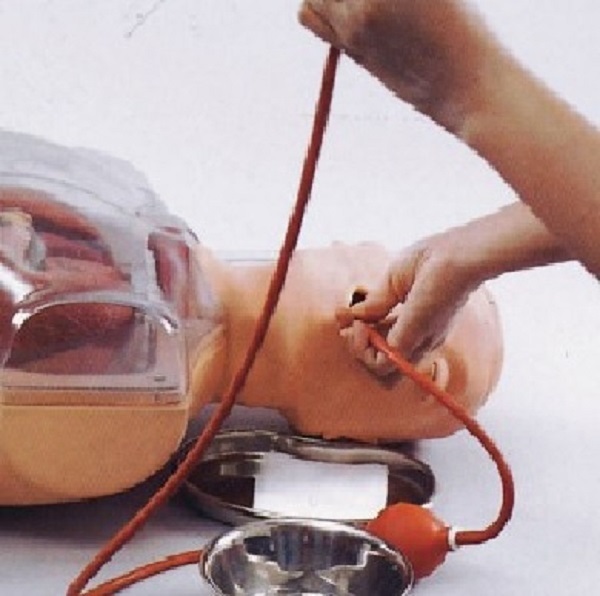 MÔ HÌNH THỰC HÀNH RỬA DẠ DÀY