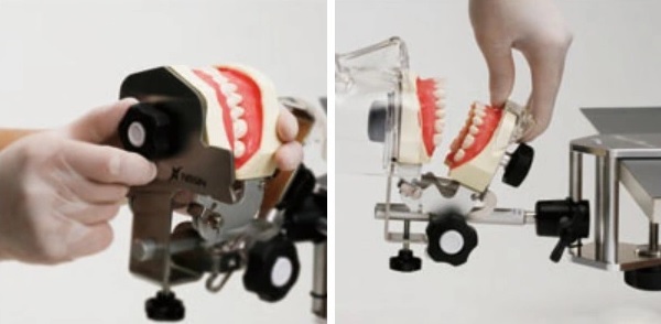 BỘ MÔ HÌNH THỰC HÀNH NHA KHOA NISSIN - SIMPLE MANIKIN III