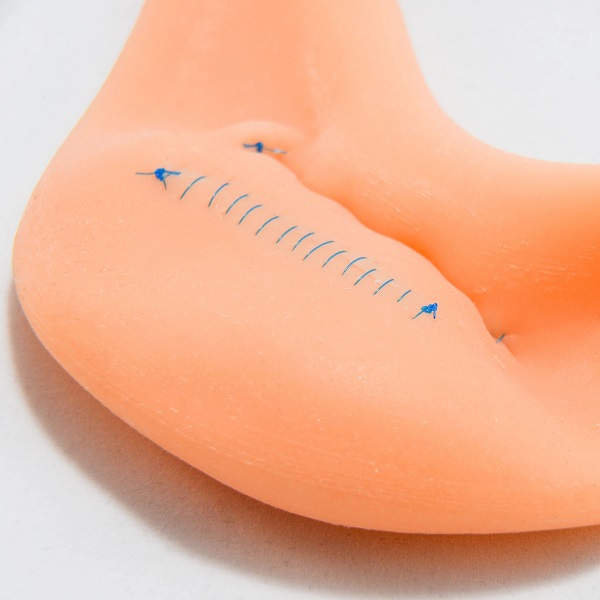 Mô hình thực hành khâu Dạ dày