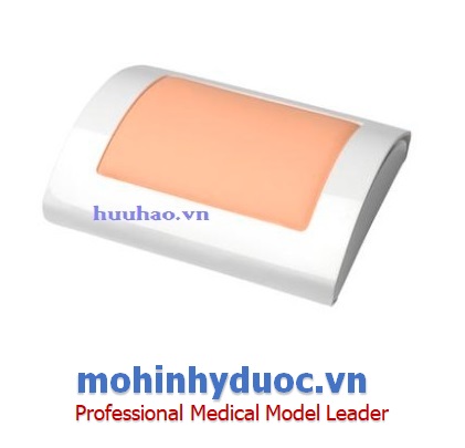 MÔ HÌNH THỰC HÀNH KHÂU DA MODEL 1005134 3B SCIENTIFIC - ĐỨC